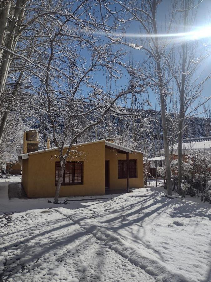 Cabana Pura Vida Potrerillos Exterior photo